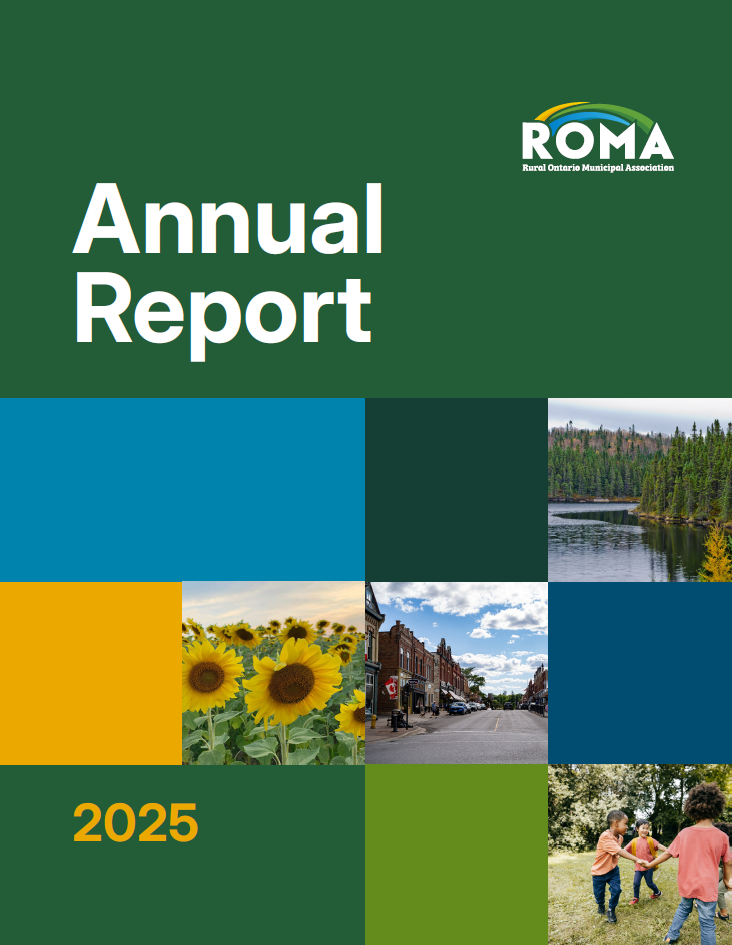 Cover page of ROMA 2025 Annual Report