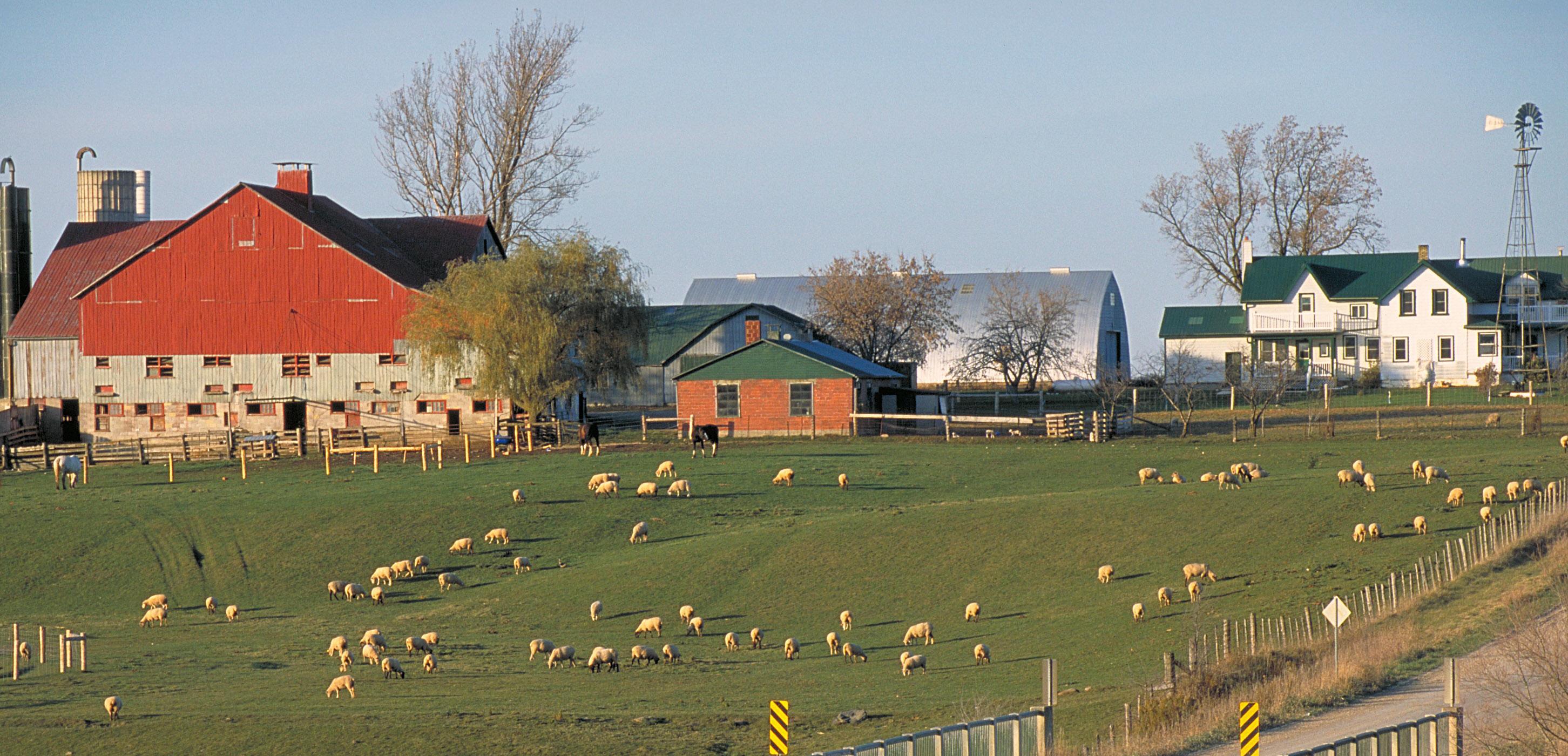 Farm scene from Destination Ontario
