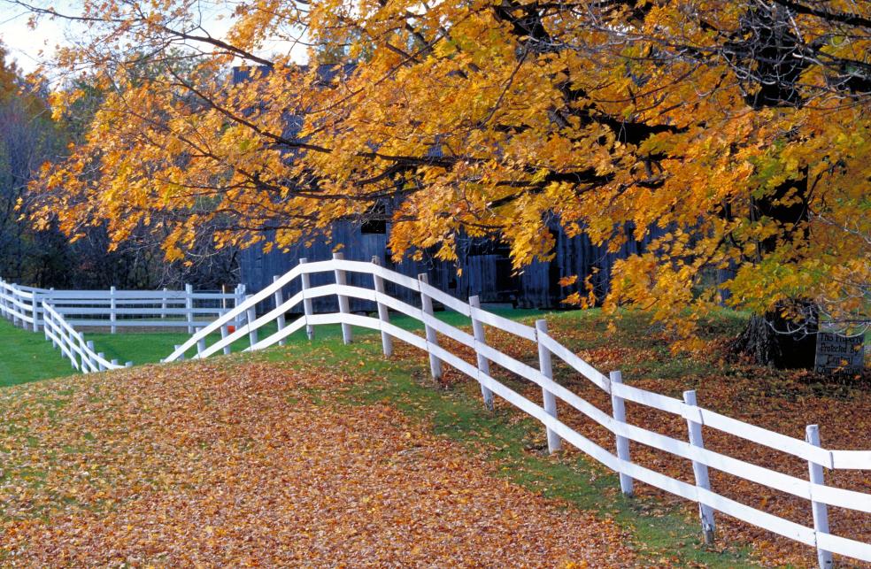 Image of rural landscape