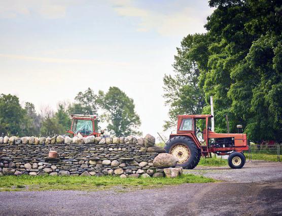 Peter Lusztyk Destination Ontario 10144_RTO9-TopsyFarms_
