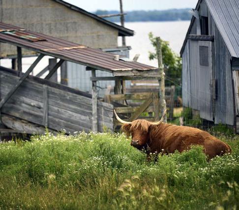 Peter Lusztyk Destination Ontario 10144_RTO9-TopsyFarms